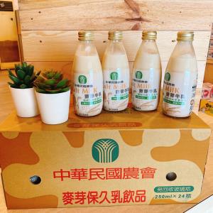 台農保久乳-麥芽